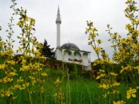 Doğamızdaki Güzellikler